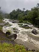 Los Sosa River in the yungas sub-tropical rainforest on a rainy day in Los Sosa Canyon Natural Reserve in Argentina.