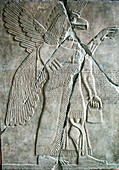 Berlin, Germany, July 24 2009, Explore the detailed Assyrian reliefs depicting winged divine beings at the Pergamon Museum in Berlin, showcasing ancient artistry.