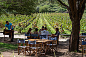 Visitors having lunch at the Bodega and Finca las Nubes, a winery and vineyard near Cafayate, Argentina.