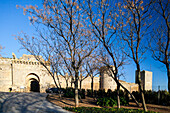 Discover the stunning architecture of the former Moorish Alcazar in Carmona, surrounded by beautiful spring trees and clear skies.