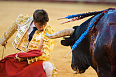 Seville, Spain, Aug 15 2008, César Girón faces a bull in the iconic Real Maestranza de Caballería, showcasing the artistry of bullfighting in Sevilla.