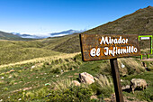 A sign for the Mirador El Infernillo, overlooking the Tafí Valley in Argentina. A pig forages behind the sign.