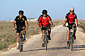 Seville, Spain, Aug 7 2008, Three cyclists traverse the serene Doñana marshland, enjoying the natural beauty of Cadiz, Andalusia, under clear skies.