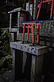 Exploring Fushimi Inari Taisha temple at night, Kyoto, Japan