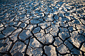 The ground in Sanlucar de Barrameda, Spain, displays extensive cracking due to drought and lack of water in the marshland.