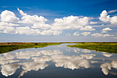 Clouds create stunning reflections on the calm waters of the Guadiamar River by the Guadalquivir in Isla Mayor, Doñana Natural Park.