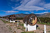 Decorated wine casks at the Bodega Tolombon winery and vineyard in Cafayate, Argentina.