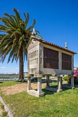 Galician granary, Cambados, Pontevedra, Galicia, Spain, Europe