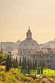 Dome of the Iglesia de la Caridad, view from the Molinete Archaeological Park, Cartagena, Murcia, Spain, Europe