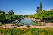 Alcazar de los Reyes Cristianos, UNESCO World Heritage Site, Cordoba, Andalusia, Spain, Europe