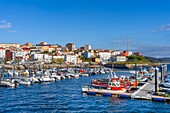 Hafen von Finisterre, Finisterre (Fisterra), La Coruna, Galicien, Spanien, Europa