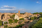 Basilica of Santa Maria Nova, Basilica of Santa Francesca Romana, Roman Forum, Rome, Lazio, Italy, Europe