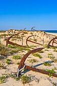 The anchor cemetery, along the beach of Barril, Tavira, Algarve, Portugal, Europe