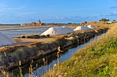 Salt pans Ettore and Infersa, Marsala, Trapani, Sicily, Italy, Mediterranean, Europe