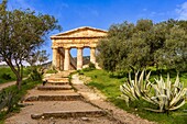 Doric temple, Segesta, Calatafimi, Trapani, Sicily, Italy, Mediterranean, Europe