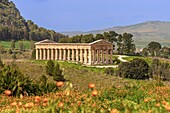 Doric temple, Segesta, Calatafimi, Trapani, Sicily, Italy, Mediterranean, Europe