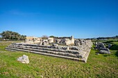 Temple of Victory, Imera (Himera), Termini Imerese, Sicily, Italy, Mediterranean, Europe