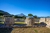 Temple of Victory, Imera (Himera), Termini Imerese, Sicily, Italy, Mediterranean, Europe