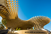 Mushroom shaped roof of Mercado de la Encarnacion (Encarnacion Market), Seville, Andalusia, Spain, Europe