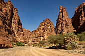 Wadi Disah (Wadi Qaraqir), sandstone canyon near Tabuk, North West Saudi Arabia, Middle East