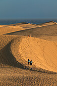 Maspalomas Sand Dunes, Gran Canaria, Canary Islands, Spain, Atlantic, Europe