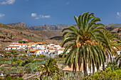 Fataga, Gran Canaria, Canary Islands, Spain, Atlantic, Europe