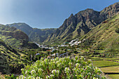 Valley of Agaete, Barranco de Agaete, Agaete, Gran Canaria, Canary Islands, Spain, Atlantic, Europe