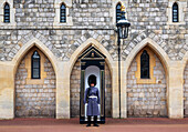 A sentry of the Welsh Guards at Windsor Castle, Windsor, Berkshire, England, United Kingdom, Europe