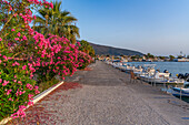 Blick auf Boote im Hafen von Skala Kallirachis, Skala Kallirachis, Thassos, Ägäisches Meer, Griechische Inseln, Griechenland, Europa