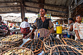 Bush meat Market, Mbandaka, Equateur province, Democratic Republic of Congo, Africa