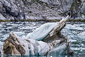 Ausgewachsener Weißkopfseeadler (Haliaeetus leucocephalus) auf Eisberg in der Nähe des Johns Hopkins Glacier, Südost-Alaska, Vereinigte Staaten von Amerika, Nordamerika