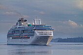 Ein Blick auf das kommerzielle Kreuzfahrtschiff Island Princess im Südosten Alaskas, Pazifischer Ozean, Vereinigte Staaten von Amerika, Nordamerika