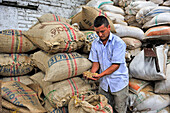 Coffee producer showing seeds, region of Armenia, department of Quindio, Cordillera Central of the Andes mountain range, Colombia, South America