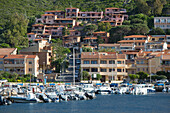 View across marina to the waterfront, modern houses clinging to wooded hillside beyond, Palau, Sassari, Sardinia, Italy, Mediterranean, Europe