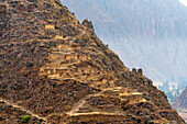 Archäologische Stätte der ehemaligen Inkastätte Pinkulluna, Ollantaytambo, Bezirk Ollantaytambo, Heiliges Tal, Provinz Urubamba, Region Cusco (Cuzco), Peru, Südamerika