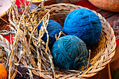 Blue balls of wool and dried plant as natural dye, Chinchero, Sacred Valley, Urubamba Province, Cusco (Cuzco) Region, Peru, South America