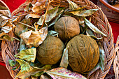 Brown balls of wool and dried leaves as natural dye, Chinchero, Sacred Valley, Urubamba Province, Cusco (Cuzco) Region, Peru, South America