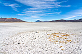 Salinen und Fernsicht auf die Vulkane Pichu Pichu, El Misti und Chachani, Nationalreservat Salinas y Aguada Blanca, Provinz Arequipa, Region Arequipa, Peru, Südamerika