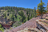 Naji-Schlucht südlich von Naji Point am Nordrand des Grand-Canyon-Nationalparks, UNESCO-Welterbe, Arizona, Vereinigte Staaten von Amerika, Nordamerika