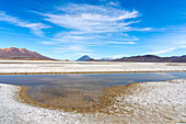 Reflexionsbecken auf Salinen und Fernblick auf die Vulkane El Misti und Chachani, Nationalreservat Salinas y Aguada Blanca, Provinz Arequipa, Region Arequipa, Peru, Südamerika