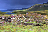 Moorland near Durness, Sutherland, Highlands, Scotland, United Kingdom, Europe