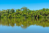 Sandoval-See, Tambopata-Nationalreservat, Puerto Maldonado, Madre de Dios, Peru, Südamerika