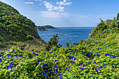 Blick auf die Küste und das Ionische Meer bei Palaiokastritsa, Palaiokastritsa, Korfu, Ionisches Meer, Griechische Inseln, Griechenland, Europa