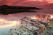 Hummerkutter, Hafen, St. Magaret's Hope, Festland, Orkney-Inseln, Vereinigtes Königreich, Europa