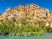 Mangroves in front of the King Leopold sandstone formations, Hunter River, Frederick Harbor, Kimberley, Western Australia, Australia, Pacific