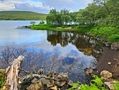 Lochan, Sutherland, Highlands, Scotland, United Kingdom, Europe