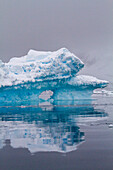 Eisberge in der Nähe der Antarktischen Halbinsel während der Sommermonate, Antarktis, Südpolarmeer, Polarregionen