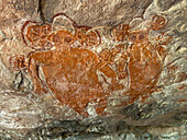 Wandjina art form of various animals on King Leopold Sandstone, Swift Bay, Kimberley, Western Australia, Australia, Pacific