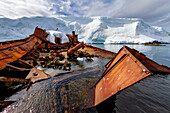 Views of the wreck of the Guvernoren, a 20th century whale processing ship, in the Enterprise Islands, Antarctica, Polar Regions