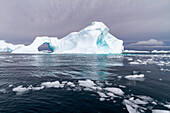 Icebergs near the Antarctic Peninsula during the summer months, Antarctica, Southern Ocean, Polar Regions